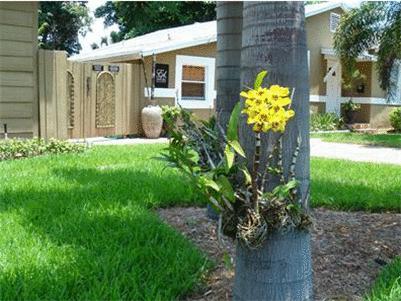 Ed Lugo Resort Wilton Manors Экстерьер фото